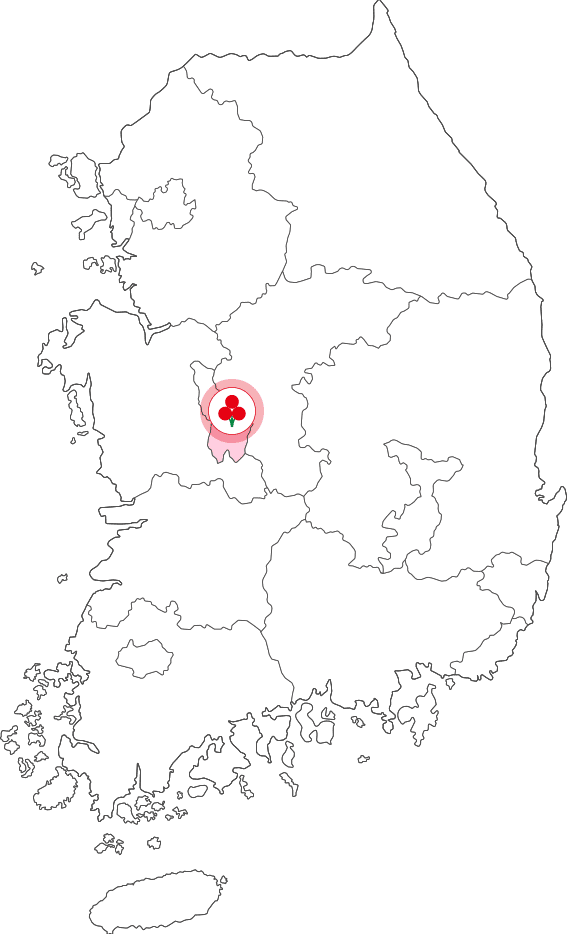 대전