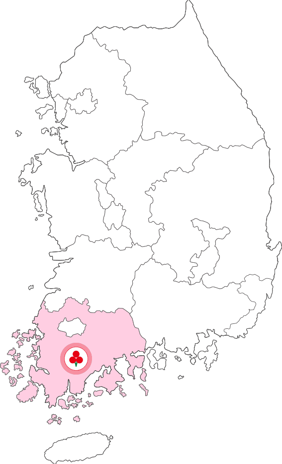 전남