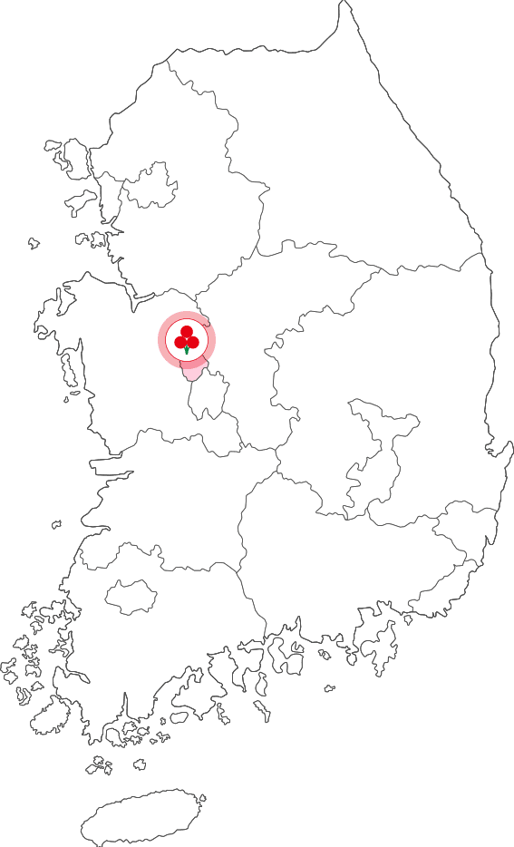 세종