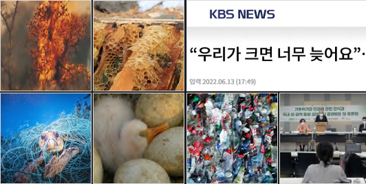 KBS NEWS 우리가 크면 너무 늦어요 입력 2022.06.13 (17:49)